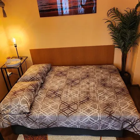 Studio 7A Cozy Central Oasis *