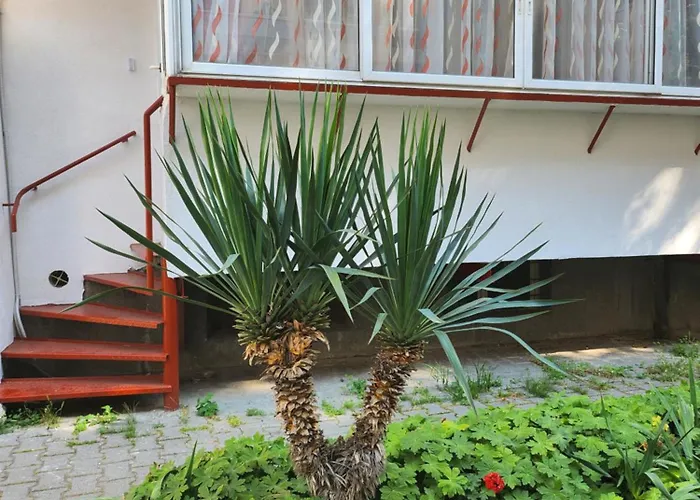 Studio 7A Cozy Central Oasis Daire Varna