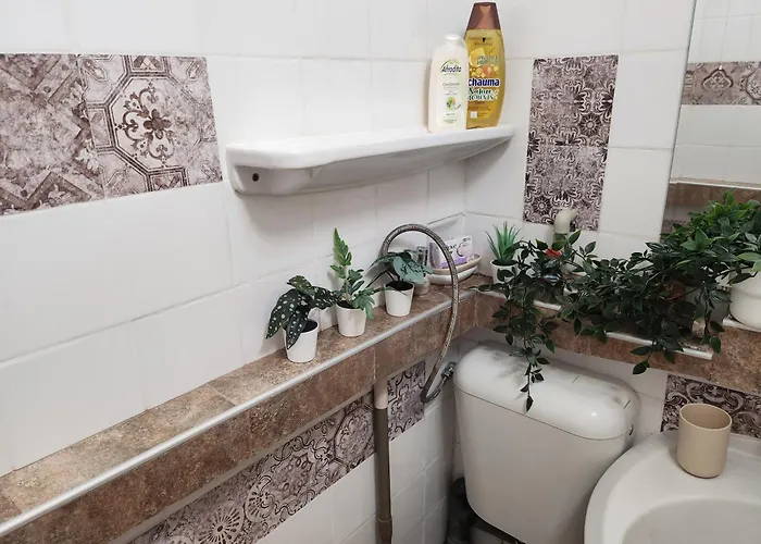 Studio 7A Cozy Central Oasis Daire